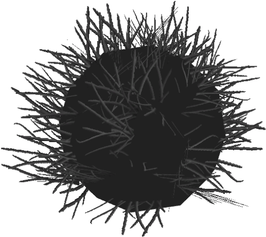 Sea Urchin Png Isolated Photo (black)