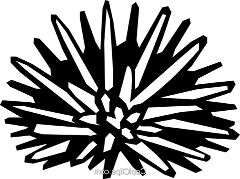 Sea Urchin Png Isolated Photos (black, white)