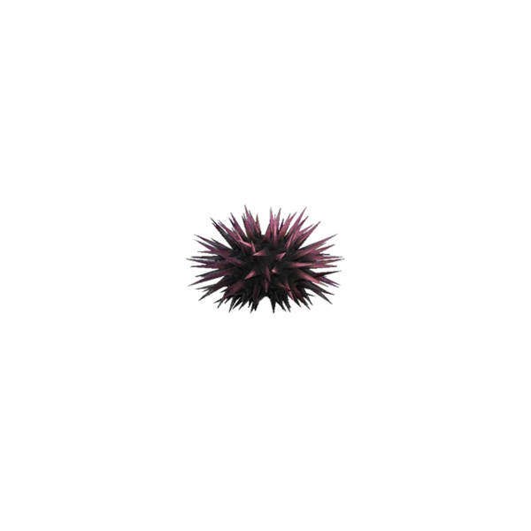 Sea Urchin Png Pic (black)