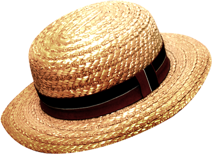 Beach Hat Png (black)