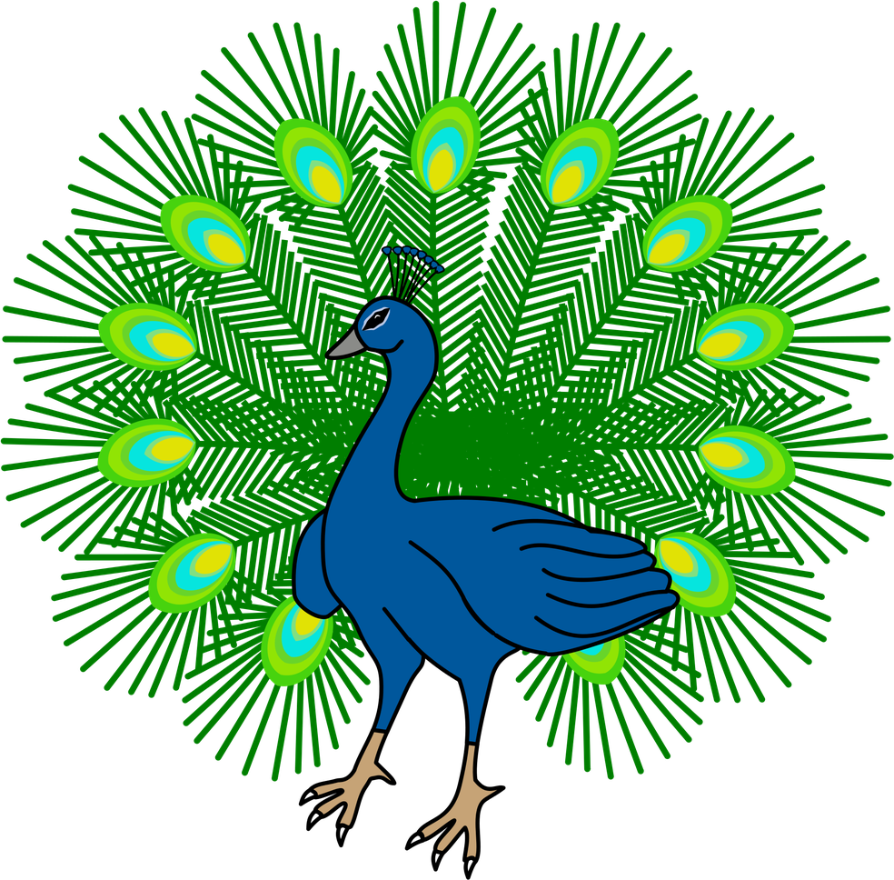 Peacock Download Png Isolated Image (black, teal, green)