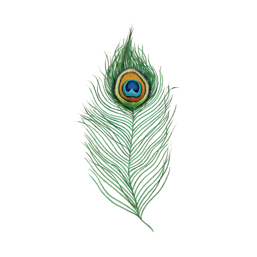 Peacock Feather Png Background Image (black)