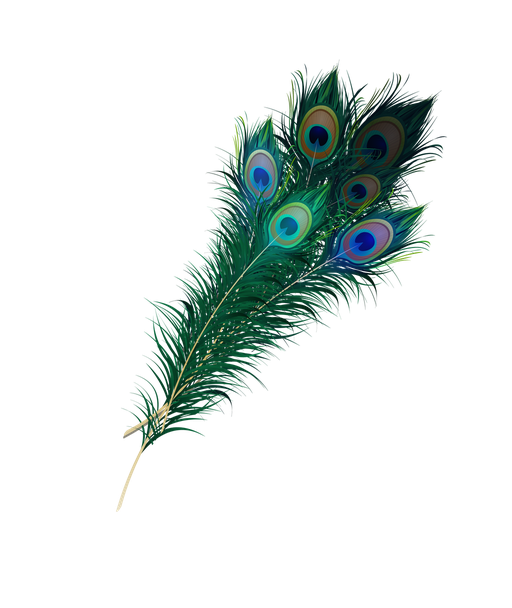 Peacock Feather Png Transparent (black)