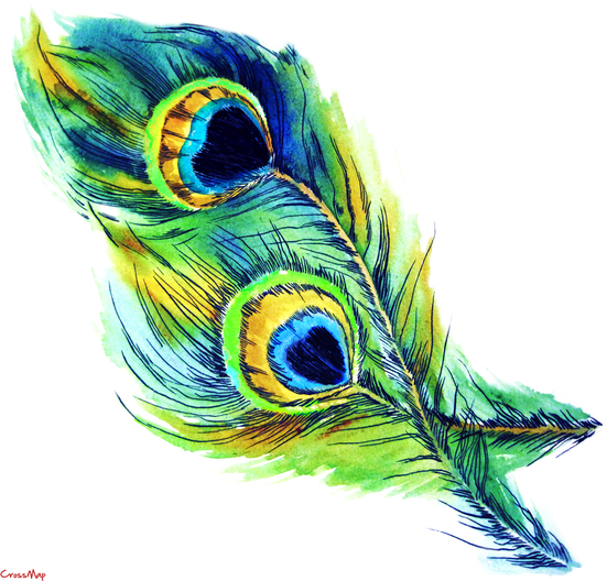 Peacock Png Isolated Picture (black, white)