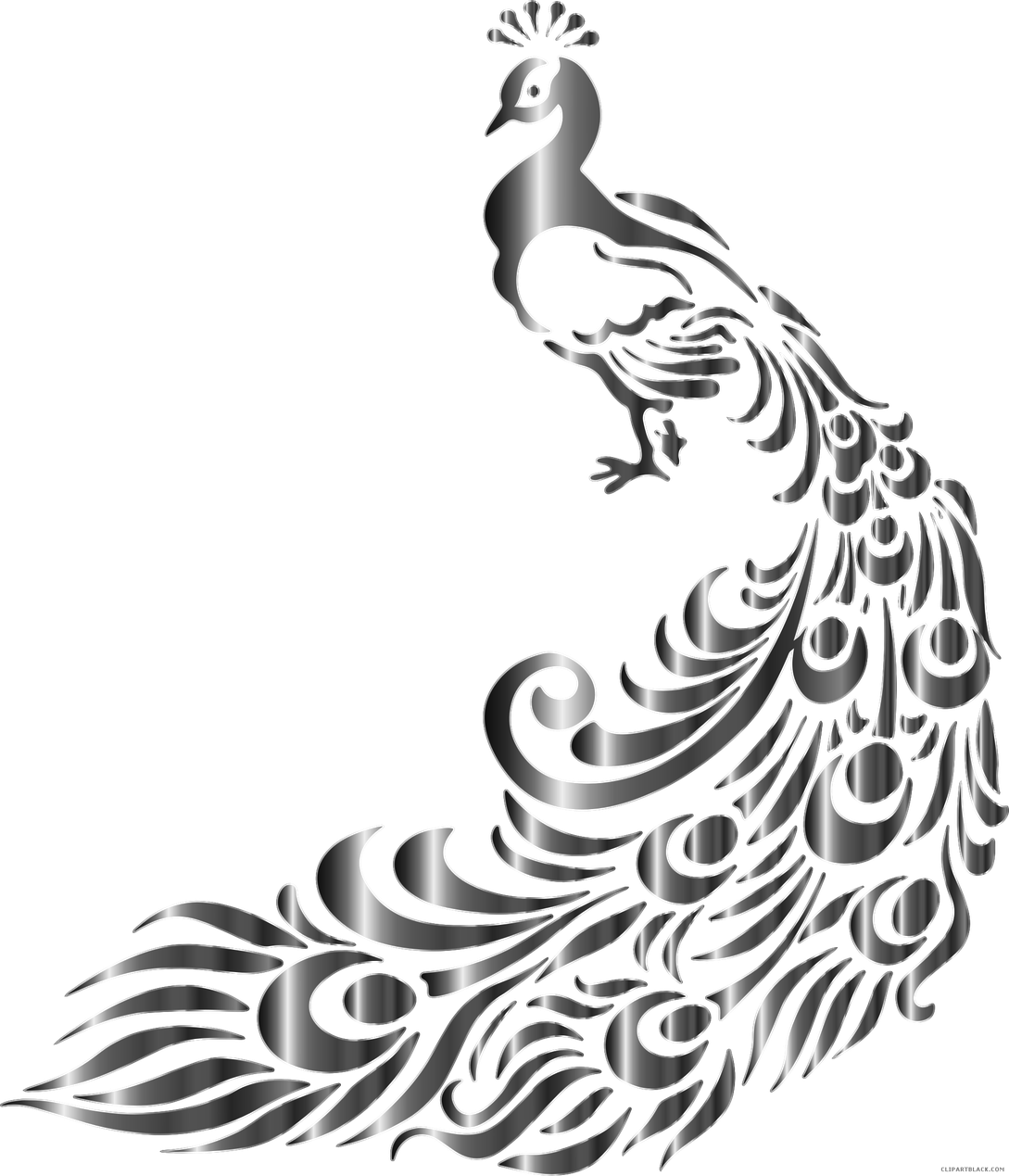 Peacock Png Photo (black, indigo, gray)