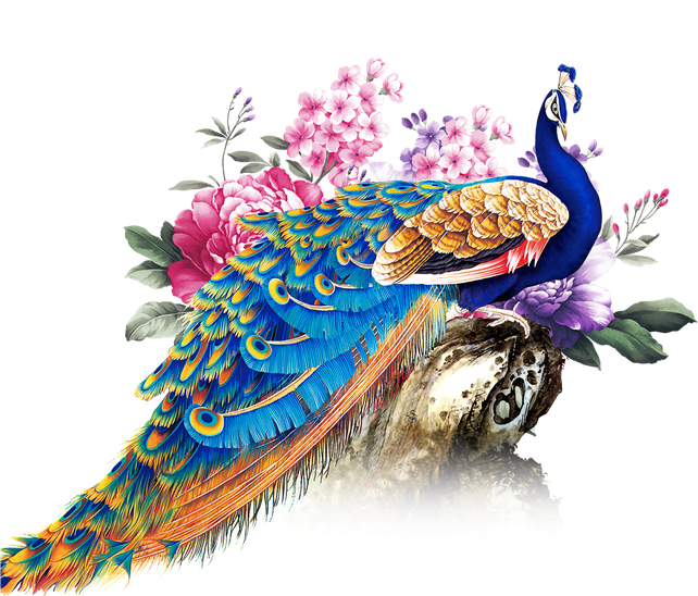 Peacock Png Transparent (black, white)