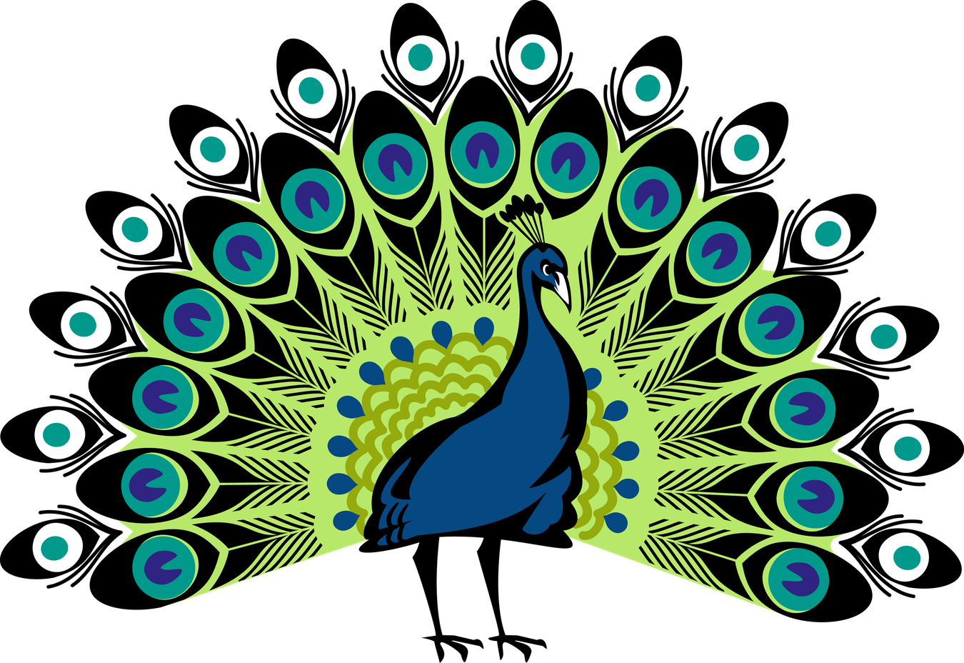 Peacock Transparent Png (black, teal, gray, olive)