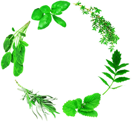 Leaf Herbs Png File (black)