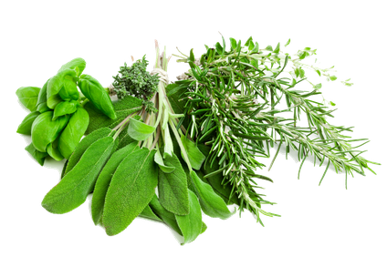 Leaf Herbs Png Image (black)