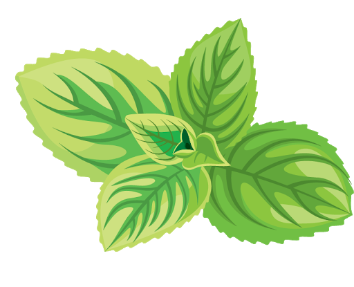 Leaf Herbs Png Pic (black, olive, gray, silver)