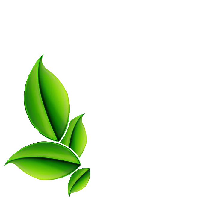 Leaf Herbs Png Transparent Image (black, green)