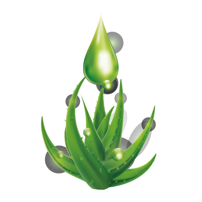 Leaf Water Dew Drop Png Clipart (black)