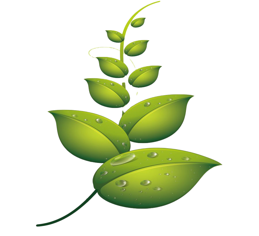 Leaf Water Dew Drop Png File (olive, white)