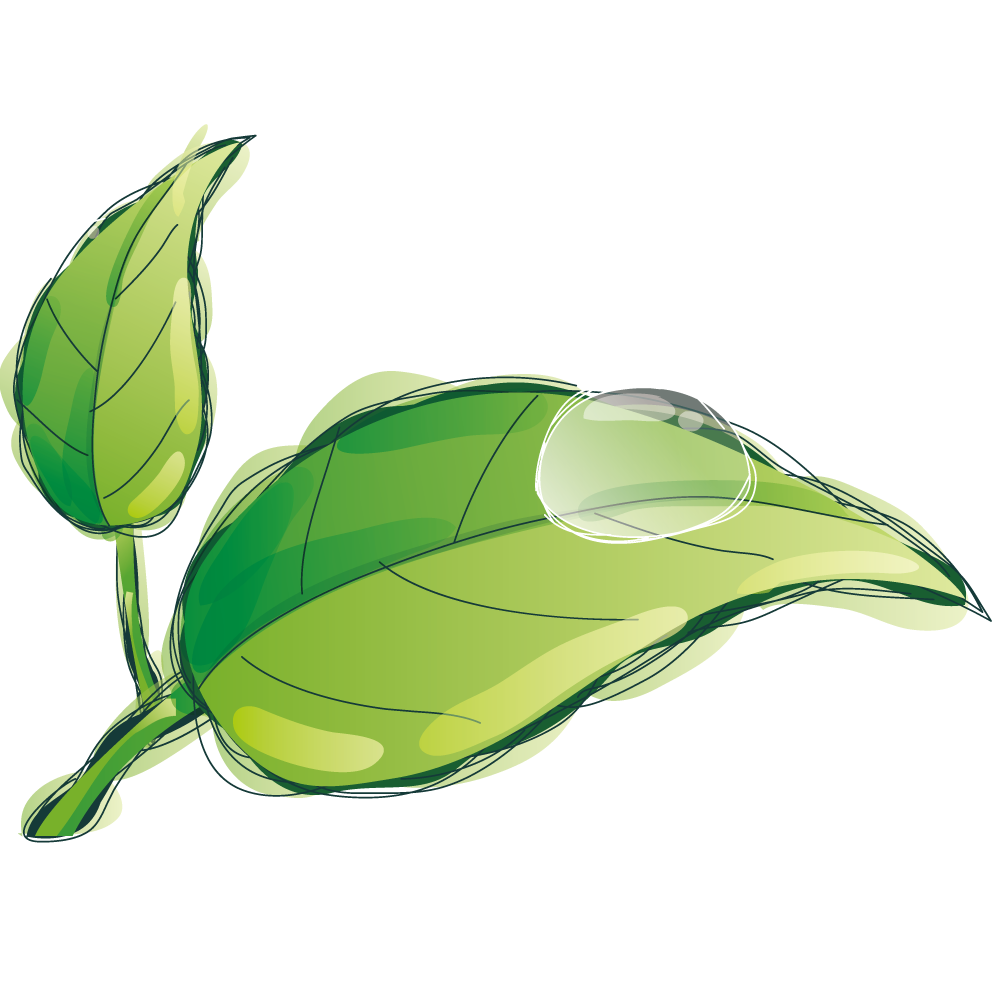 Leaf Water Dew Drop Png Hd (black, olive, gray)