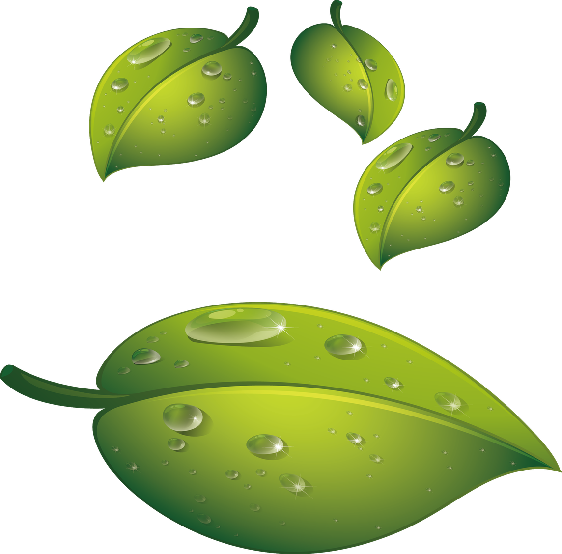 Leaf Water Dew Drop Transparent Png (black, olive)