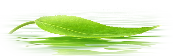 Leaf Water Drop Png File (black, beige, gray, white)