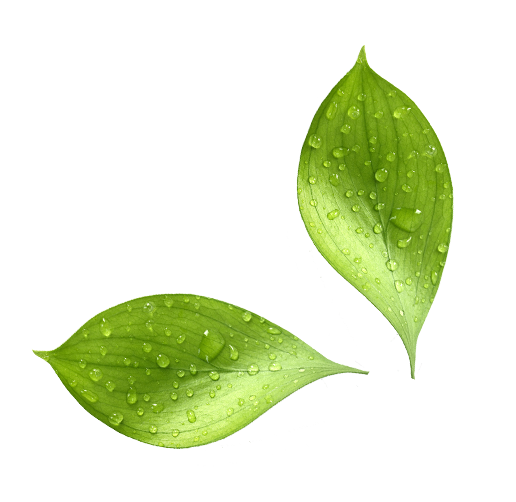 Leaf Water Drop Png Free Download (beige, silver, white)