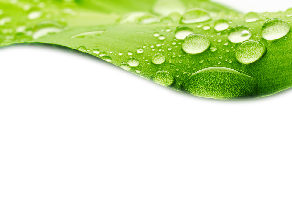 Leaf Water Drop Png Hd (green, black, gray, white)