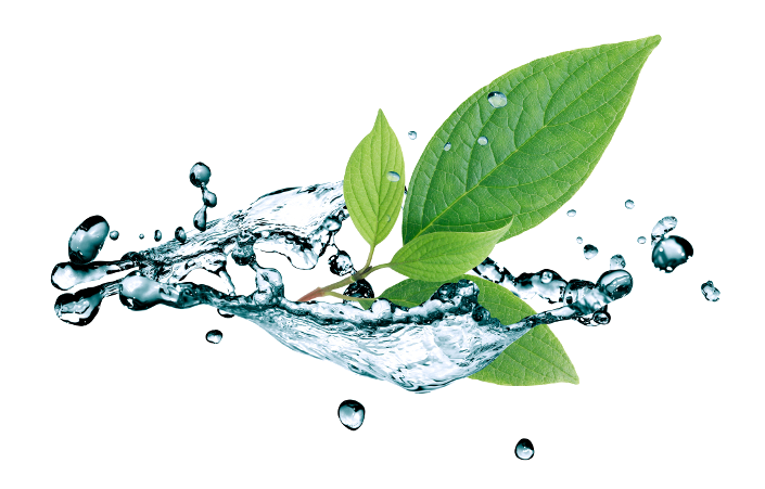 Leaf Water Drop Png Picture (white)