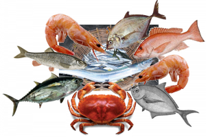 Seafood Png File (black, gray)