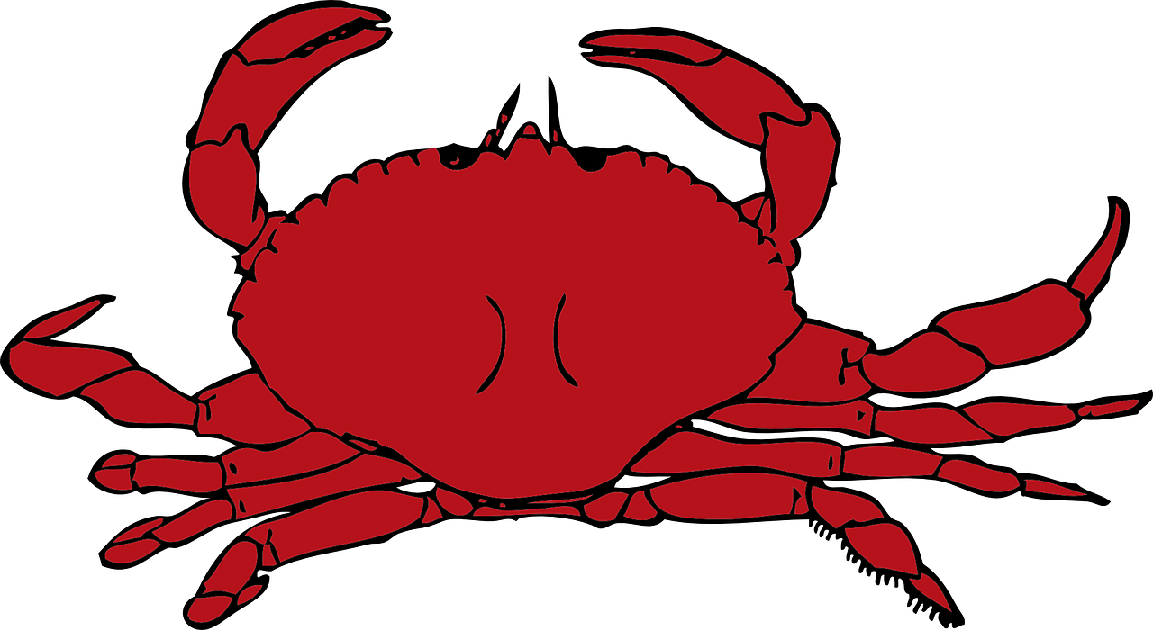 Seafood Png Free Download (black, maroon)