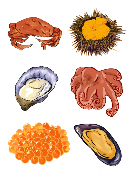 Seafood Png (white, black, salmon, orange, chocolate)