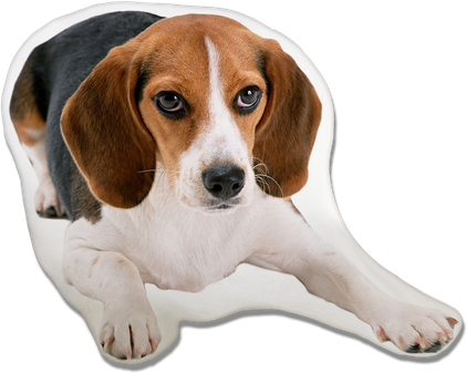 Beagle Png Isolated File (beige, black, silver)