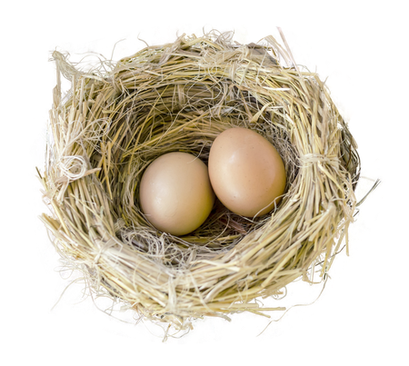 Real Bird Nest Transparent Png (black, gray)