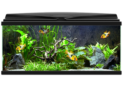 Real Fish Tank Aquarium Transparent Png (indigo, black)