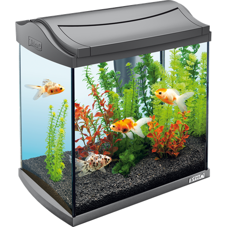 Real Fish Tank Transparent Png (gray, black, silver, lavender, indigo)