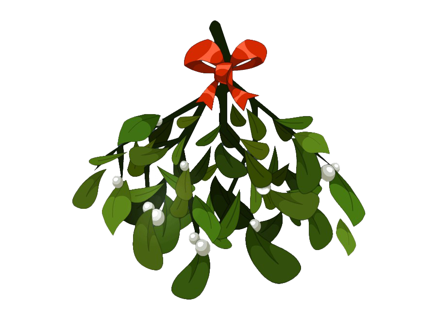 Real Mistletoe Png Image (white, green, olive)