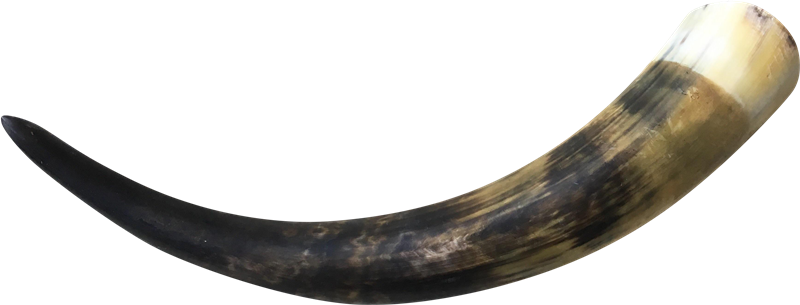 Realistic Horn Png (black)