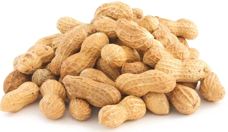 Peanut Background Png (white)