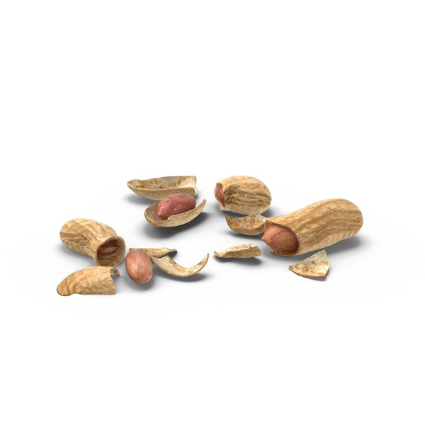 Peanut Download Png Image (white)