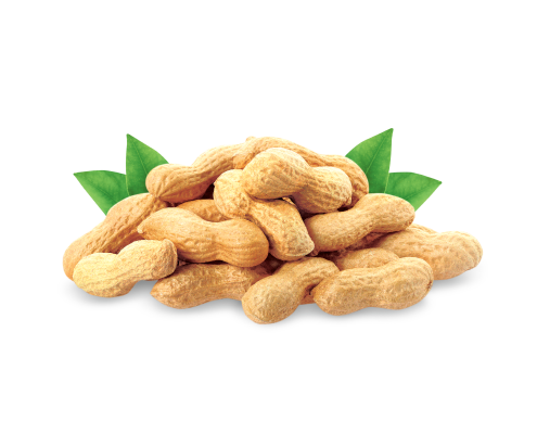 Peanut Png Pic (black)