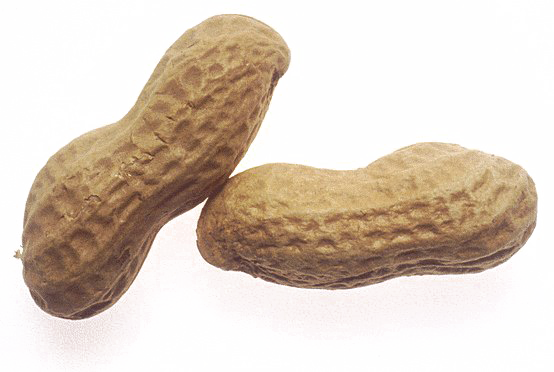 Peanut Transparent Images Png (white, beige)