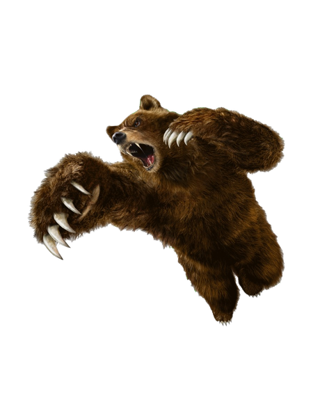 Bear Kuma Tekken Png Clipart (black)