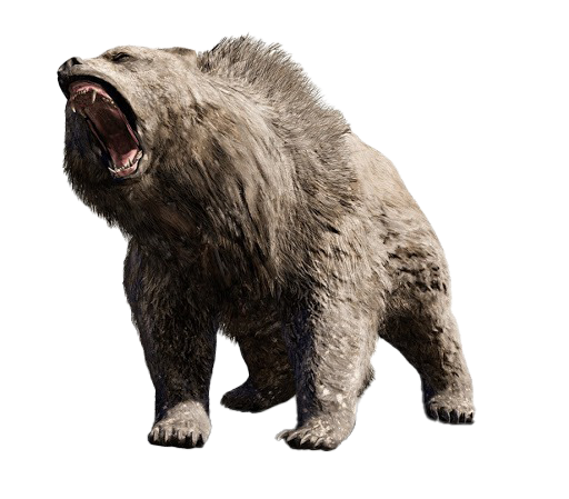 Bear Kuma Tekken Png Photo (black, white)