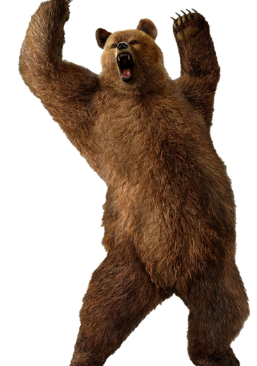 Bear Kuma Tekken Transparent Png (black, maroon)