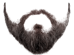 Beard Png 2 300X225 (indigo, black)