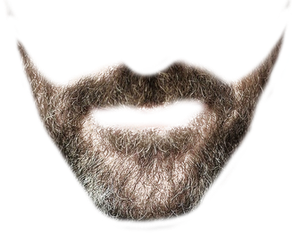 Beard Png Clipart (black, gray)