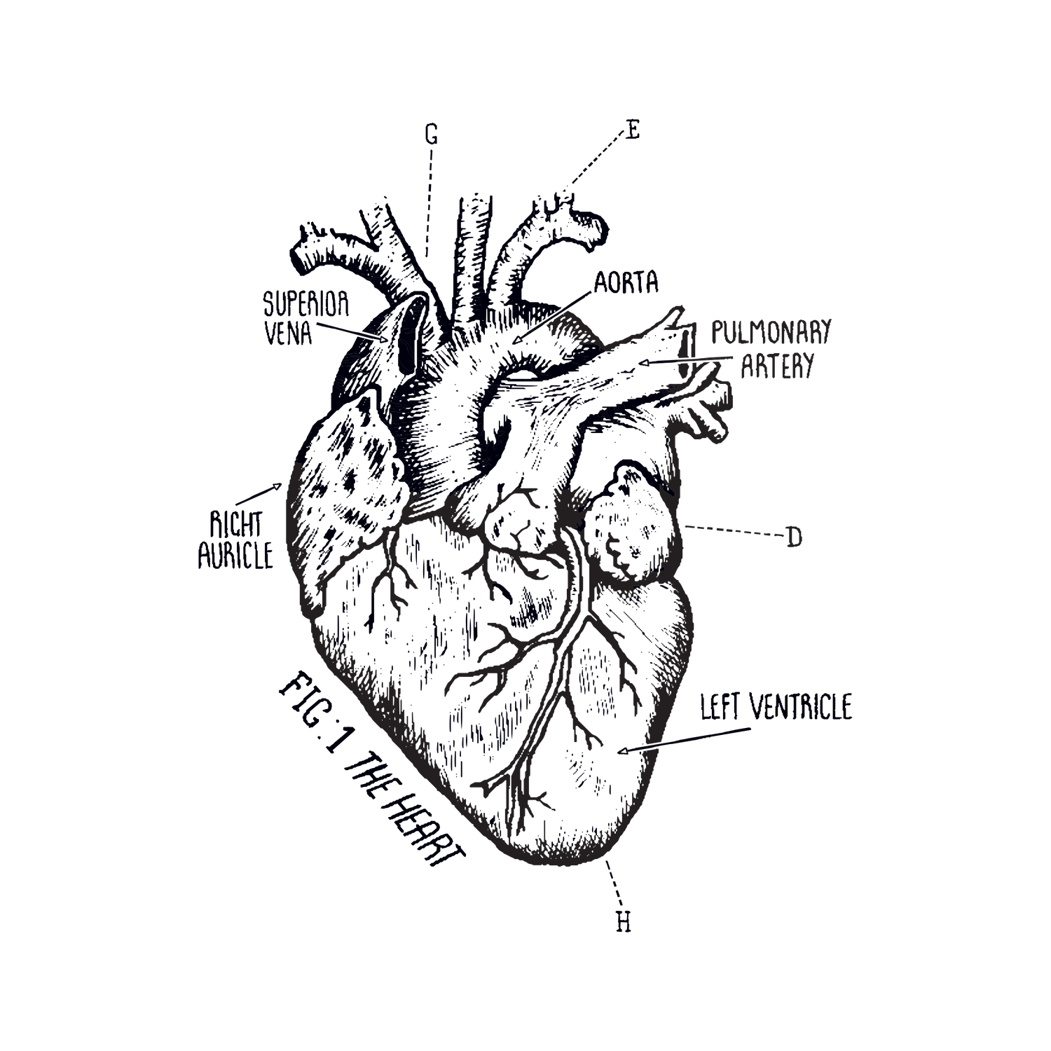 Heart Tattoo Png Clipart (black)