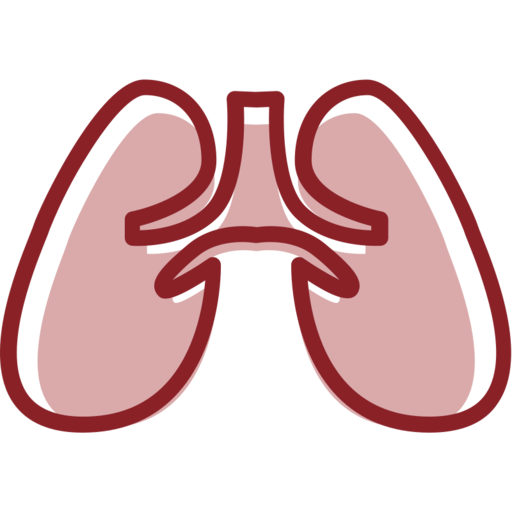 Heart Lung Free Png Icon Download (silver, maroon, black)