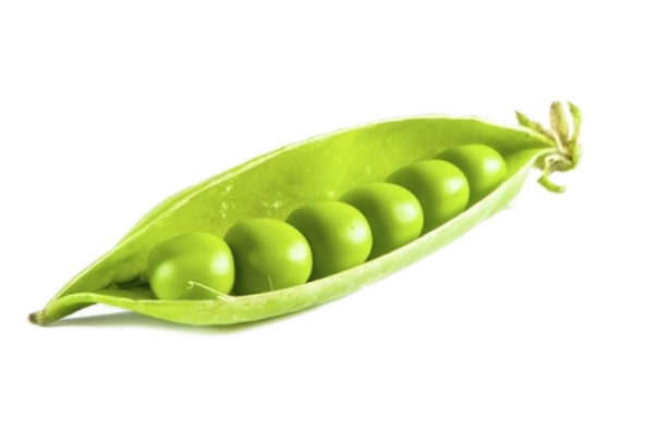 Peas Download Png Image (lavender, white, black)