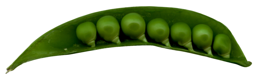 Peas Png Clipart (black, green)