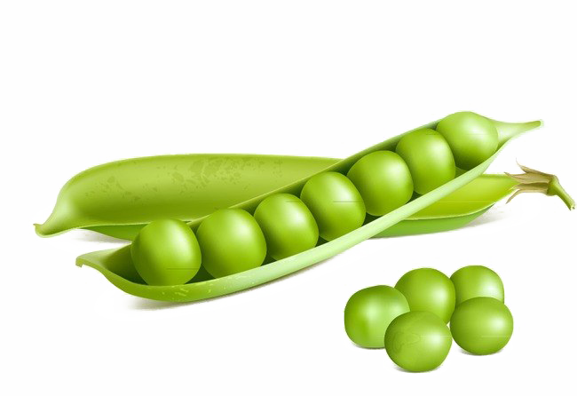 Peas Png File (white)