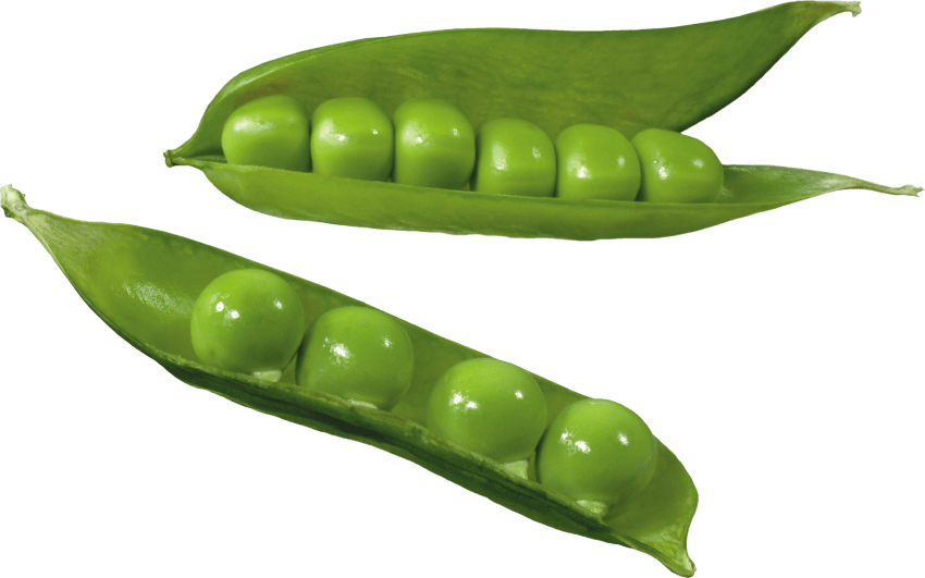 Peas Png Hd Isolated (gray)