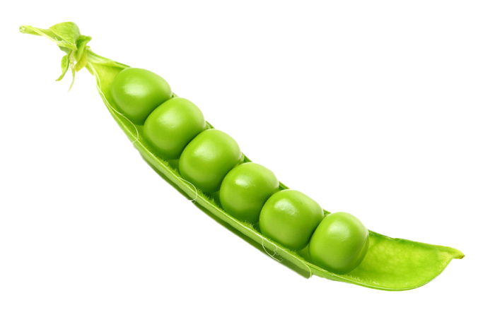 Peas Png Hd (white, olive, beige)