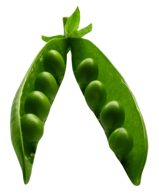 Peas Png Isolated File (black, green, olive)