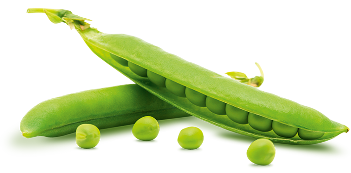 Peas Png Isolated Hd (white, olive)